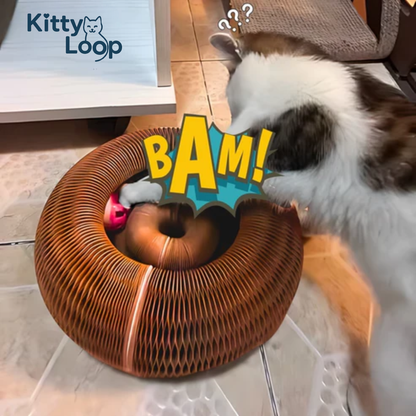 Kitty Loop™