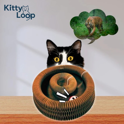 Kitty Loop™